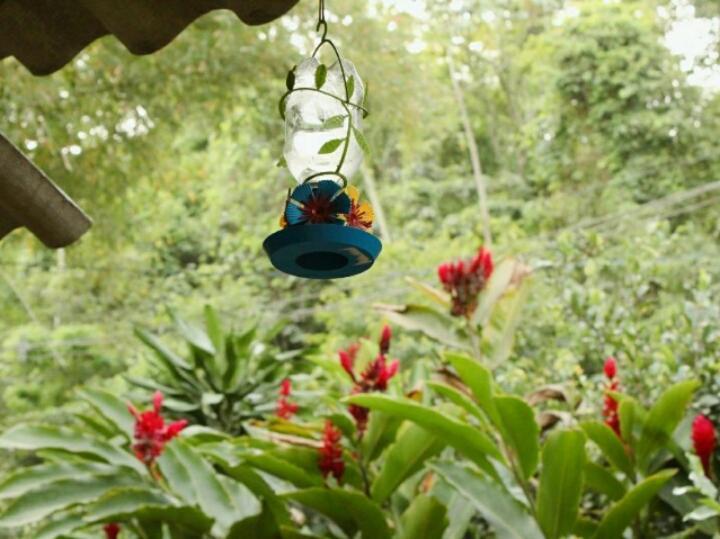 Suites Cocaia Ilhabela Exteriör bild
