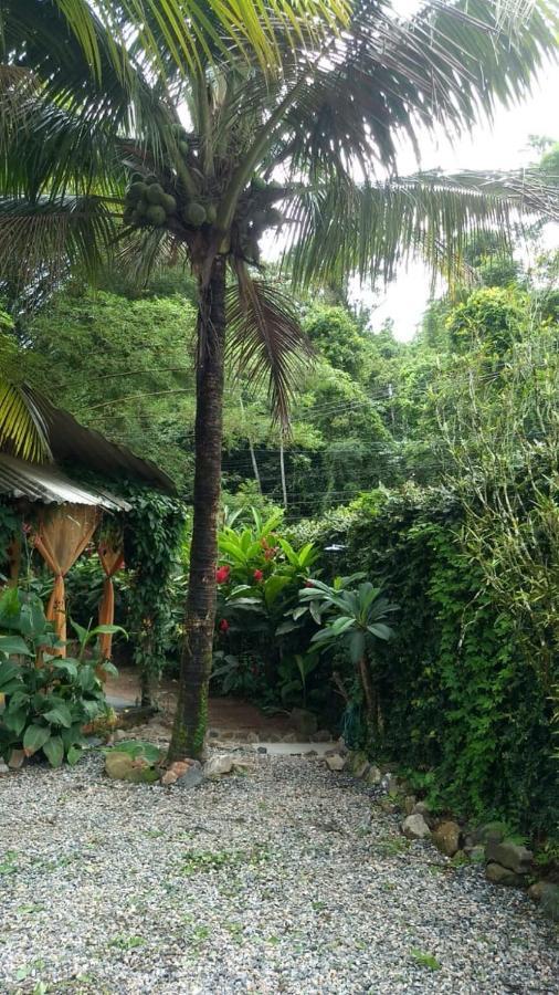 Suites Cocaia Ilhabela Exteriör bild