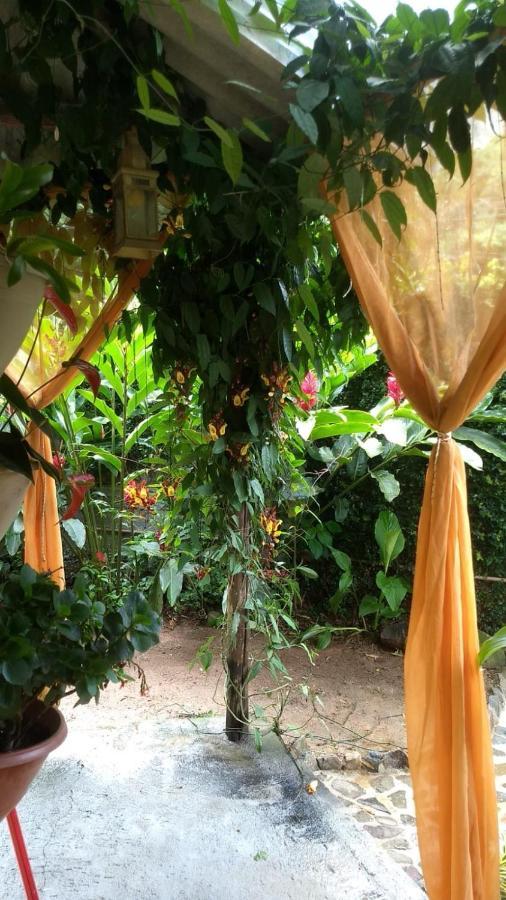 Suites Cocaia Ilhabela Exteriör bild