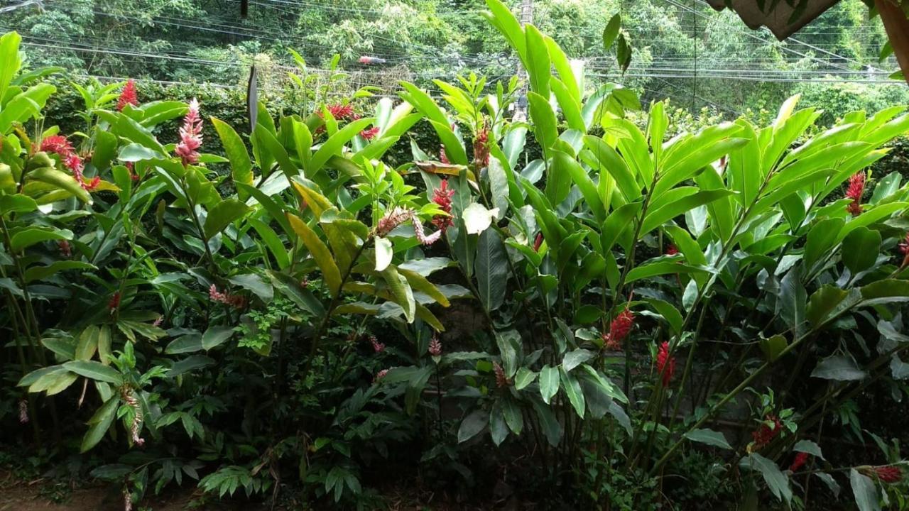 Suites Cocaia Ilhabela Exteriör bild