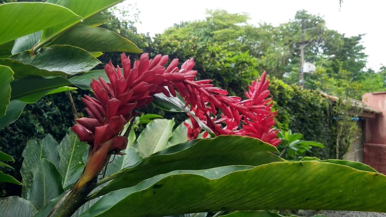 Suites Cocaia Ilhabela Exteriör bild