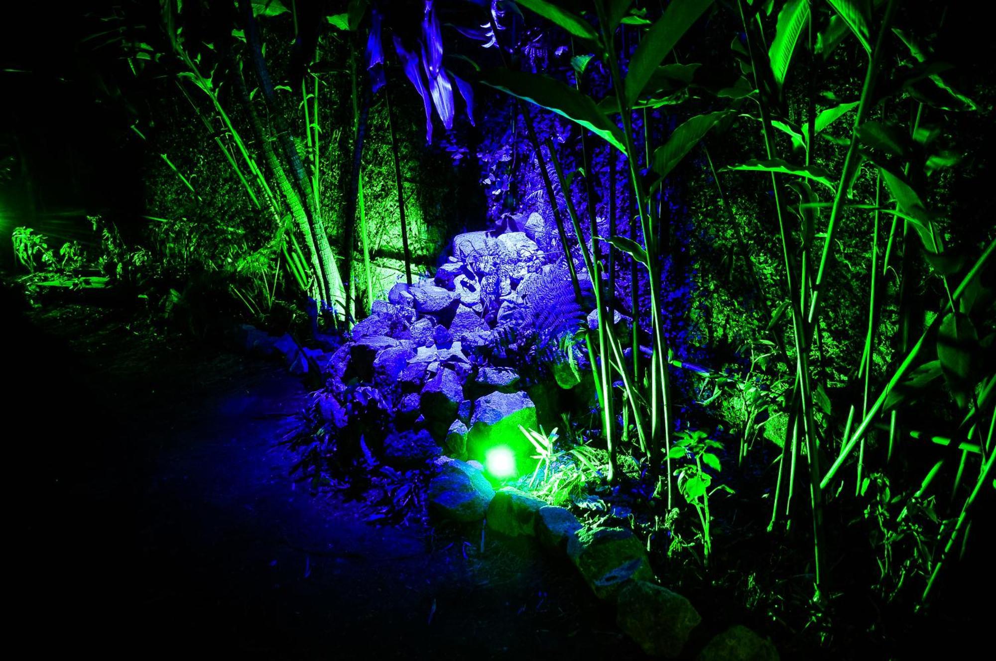 Suites Cocaia Ilhabela Exteriör bild